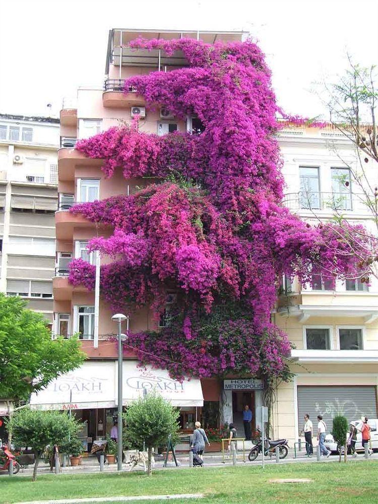 Metropolis Hotel Athènes Extérieur photo